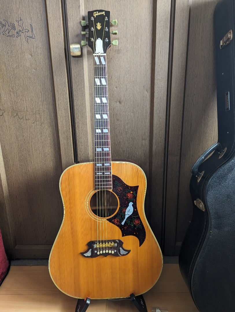 エレアコ仕様 なにかと話題のTomson DOVEモデル(多分) エレアコ仕様