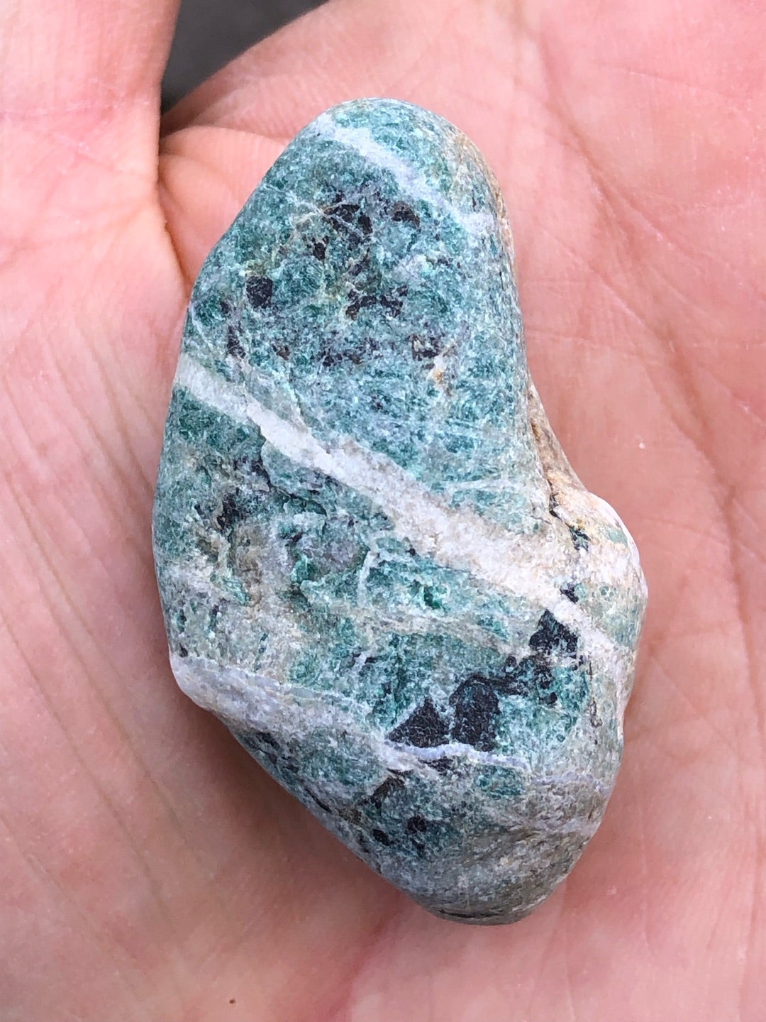 糸魚川のキツネ石を磨いてみた。 | コタブロ日記 多肉植物・ヤシ・蘇鉄