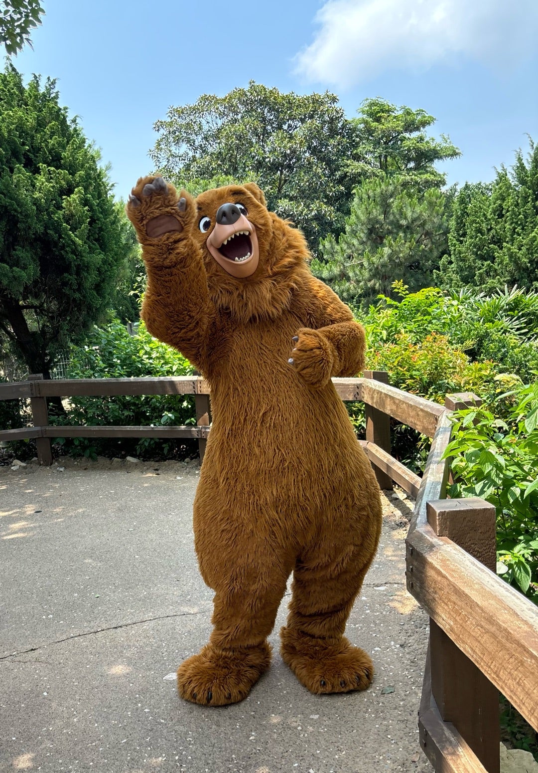 HKDL】レアキャラ？ブラザーベアのキナイ | カメリアさんの雑談、時々