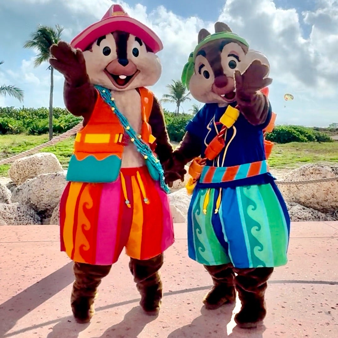 キャスタウェイ・ケイ♥ʾʾやっと会えたチップとデール ⚓︎ WDW&DCL 2