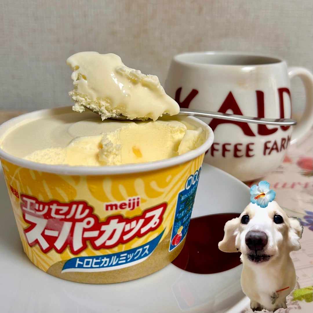 初夏にぴったり！明治 エッセル スーパーカップ トロピカルミックス