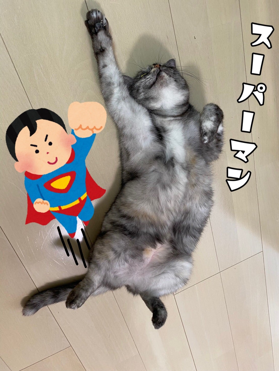 2026年2月4日の記事 | 大分ニャンたろう