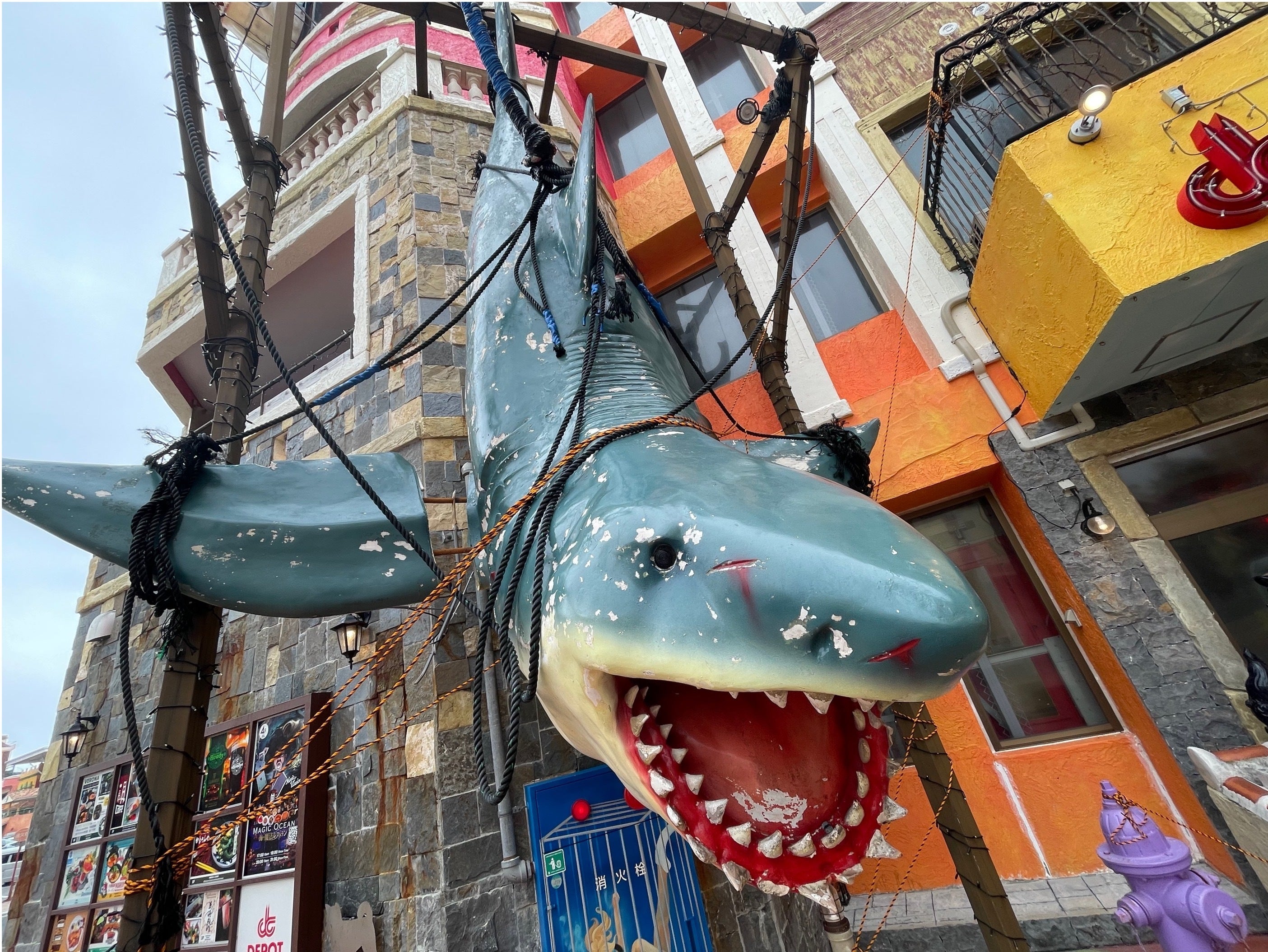 台風6号により半壊したサメオブジェを守るプロジェクト - CAMPFIRE