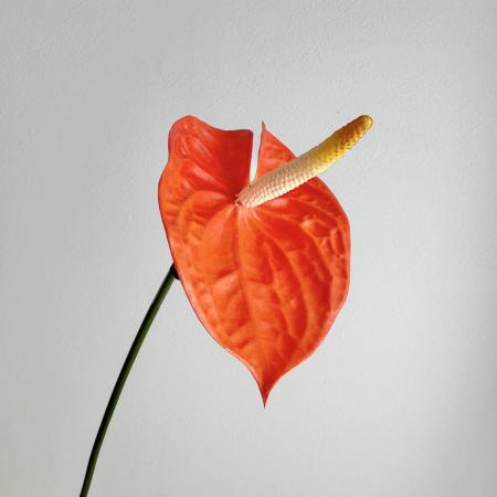 051-30320_m.jpg