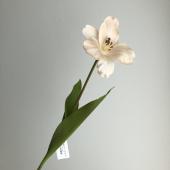 造花】アスカ/オープンチューリップ パープルホワイト/A-34928-7W - 花