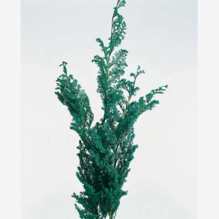 034-00065_m.jpg