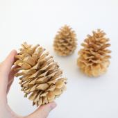 松ぼっくりのクリスマスオーナメント｜Fla-co（フラコ） - フラワー