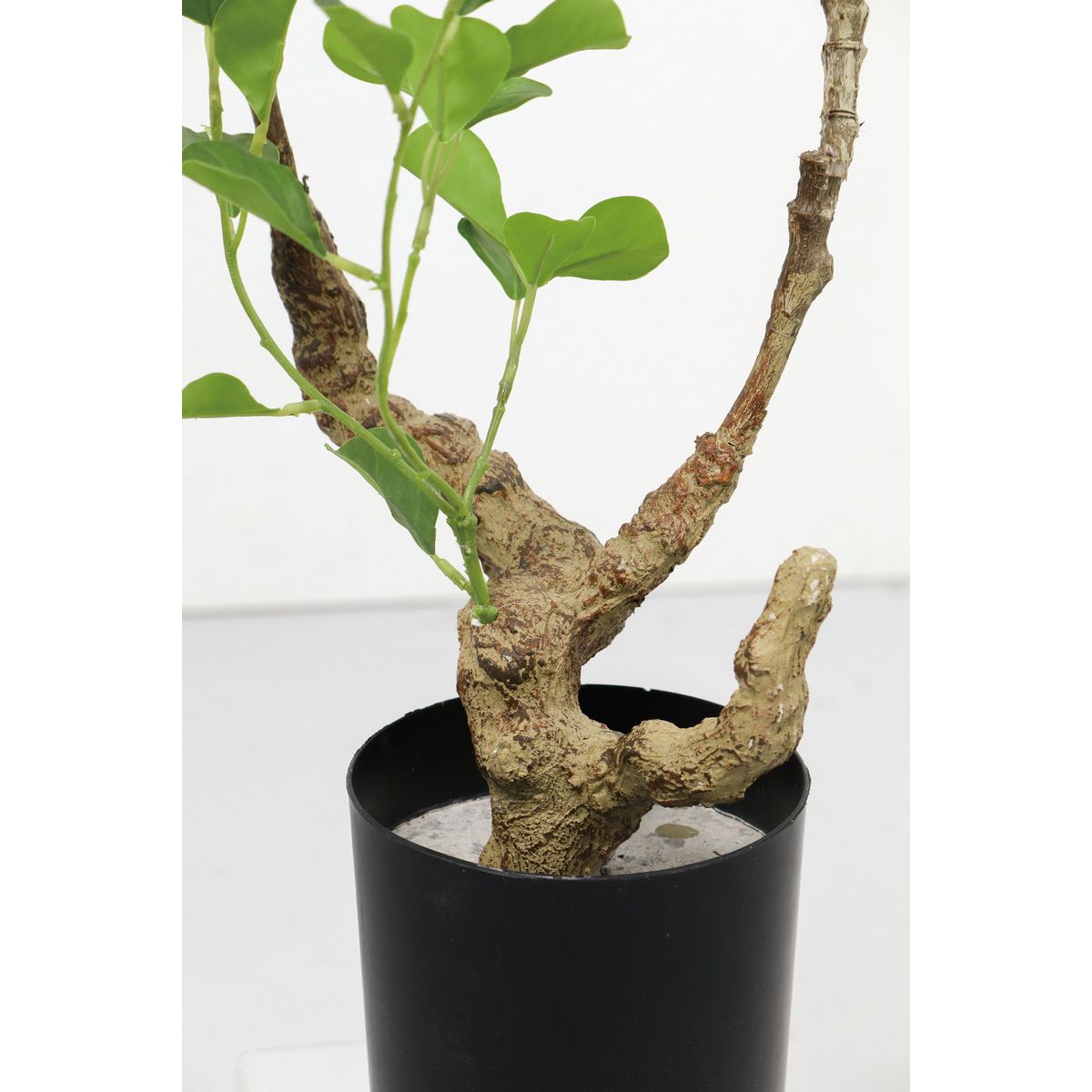 人工観葉植物】YDM/125cmフィカストライアンギュラス グリーン/GLP