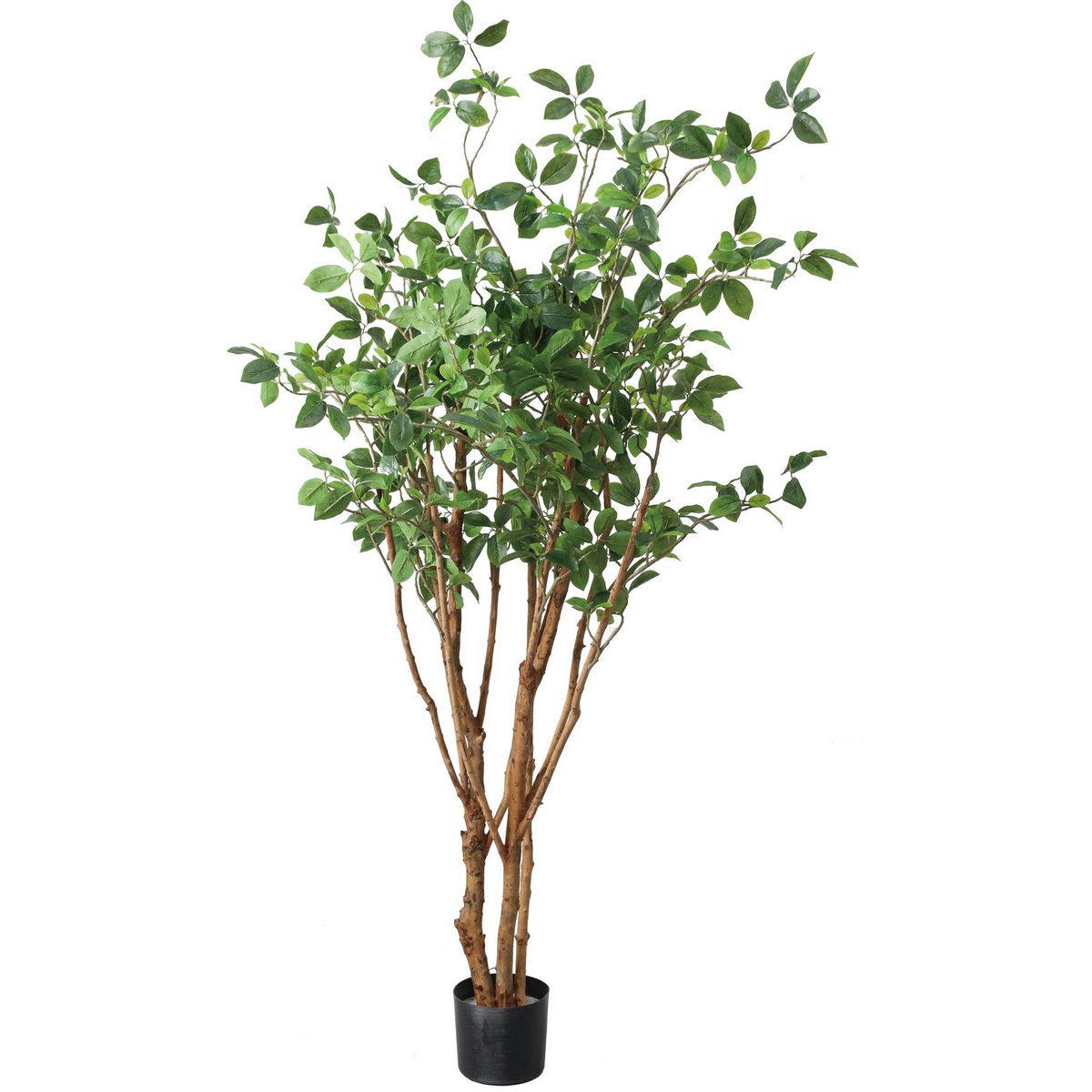 直送】【人工観葉植物】YDM/160cmガジュマルツリー グリーン/GLP