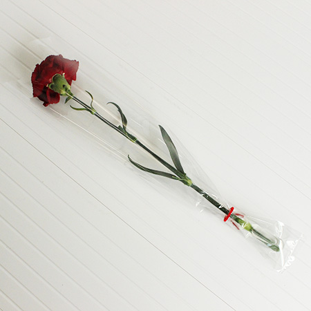 生花】1本花束ブーケ(カーネーション・赤) - 花材通販はなどんやアソシエ