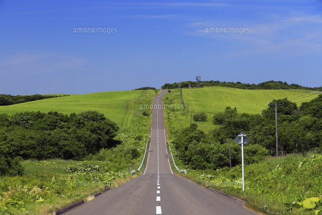 7月夏 北海道のまっすぐな道[10738001893]の写真・イラスト素材