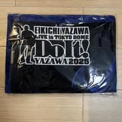 ☆矢沢永吉☆東京ドームスペシャルビーチタオル 2Days限定 紅白出場祝