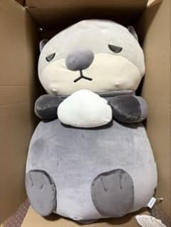 カワウソ ぬいぐるみ 河田陽菜 日向坂46 - メルカリ
