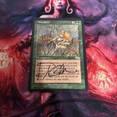 MTG 豊穣 Abundance アーティストプルーフ サインド 1枚 - メルカリ