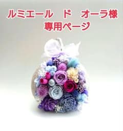 ルミエール ド オーラ様専用ページ ブッダナッツ オーダー分 - メルカリ