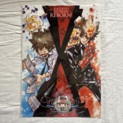 家庭教師ヒットマンREBORN! 沢田綱吉 ツナ クリアポスター 原作絵