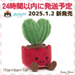 廃盤 新品 ジェリーキャット サボテン さぼてん 覇王樹 植物
