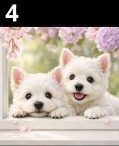 オーダーページ5020 ハンカチ 窓辺の仔犬柄 ハンドメイド2/12 - メルカリ
