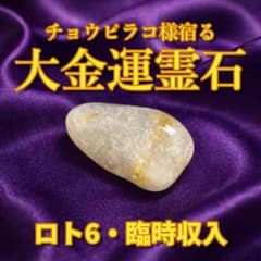限定】最強金運 チョウピラコ宿る 黄金ルチル霊石② 座敷童子/龍神