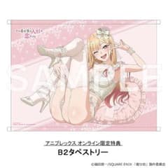 その着せ替え人形は恋をする 喜多川海夢 ベビードール 限定特典 B2