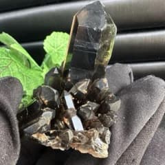 最強魔除け】守護石モリオンスモーキークォーツ 原石クラスター 黒水晶