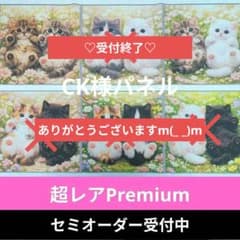 ♡セミオーダー受付中♡ へそ天にゃんこ 猫 642 超レアPremium - メルカリ