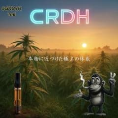 ゴリラパニック 業界最高のCRDH リキッド OGKUSH 1ml - メルカリ