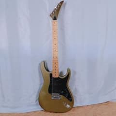 フェルナンデス THE FUNCTION エレキギター ゴールドパーツ 動作OK