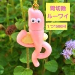 胃切除 ルーワイ 手作り 臓器 キーホルダー ハンドメイド - メルカリ