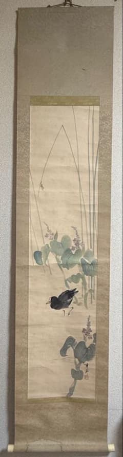 池上秀畝筆 絹本肉筆 沒骨法 掛軸 秀畝自題共箱 送料込み250824 - メルカリ