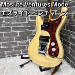 m66511179667_1.jpg?1731584433