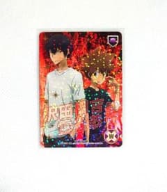 家庭教師ヒットマンREBORN！CCG SKR 死ぬ気レア 沢田綱吉 雲雀恭弥