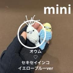 ◇ オウム♡白文鳥♡セキセイインコ♡カラス♡文鳥 あみぐるみ かぎ針