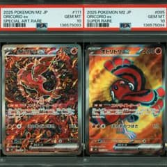 PSA10 2連番 】 オドリドリex SAR SR 2連番 カンダシンジ - メルカリ