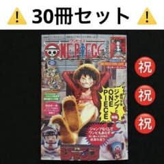 28.⭐️初版本【本のみ33冊】ワンピースマガジン20号 ルフィ カード