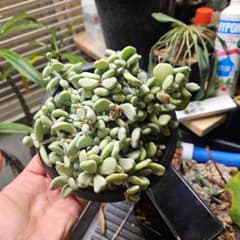 m68950043789_1.jpg?1709997413