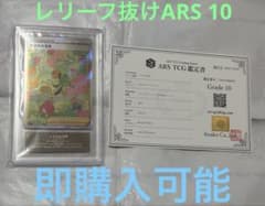 ポケモンカード レリーフ抜け ARS 10 ナタネの活気 SAR 鑑定書 - メルカリ