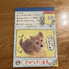 平成レトロ メモ帳 クーリア わんじろう パンダ 犬 - メルカリ