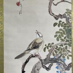 掛軸•日本画 森山香浦「藤に百舌鳥」 - メルカリ