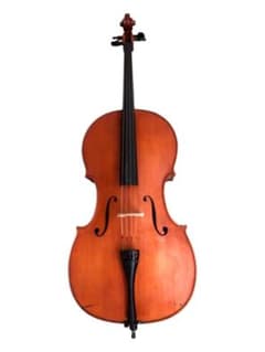 希少】KARL HOFNER オールドチェロ 4/4サイズ カールヘフナー | Shop