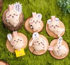うさぎだらけくじ E賞コンプ - メルカリ