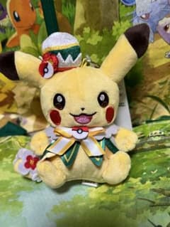 新品 ポケパーク カントー ショップ 限定 ピカチュウ ぬいぐるみ
