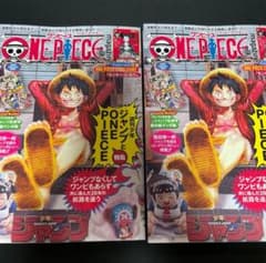 ワンピースマガジン 20号付録 モンキー・D・ルフィ 2冊セット - メルカリ