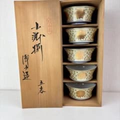 新品未使用】九谷焼 洋山 向付 小鉢 中鉢 金彩 染付 5客 5点 セット 揃