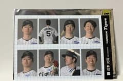 1976年 池辺巌 916 阪神タイガース プロ野球カード | Buyee 通販購入