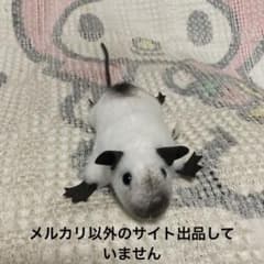 ケーセン Koesen ぬいぐるみ サイアミーズラット 中古品 - メルカリ