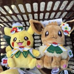 新品未使用】ポケパークカントー イーブイ ピカチュウ キーホルダー