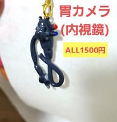 胃カメラ 内視鏡 臓器 手作り キーホルダー - メルカリ