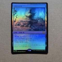 MTG JP 【Foil】 神聖なる泉/Hallowed Fountain - メルカリ