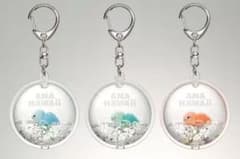 11月30日限定価格【非売品】ANA HONU リキッドキーホルダー コンプリ